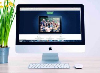 debt collection tv fees