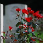 UK Funeral Debt nears £150m