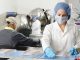 SME's covid support loan repayment