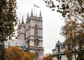 business debt recovery