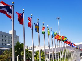 international debt collection rises