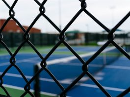 borsi becker faces jail time