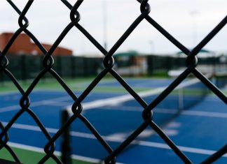 borsi becker faces jail time