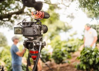 tv stars company collapses with unpaid debts