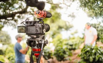 tv stars company collapses with unpaid debts