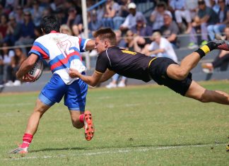 unpaid business debts causes rugby club to collapse