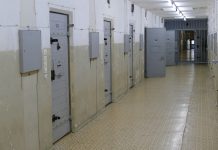 debt jailed for hiding property from trustees