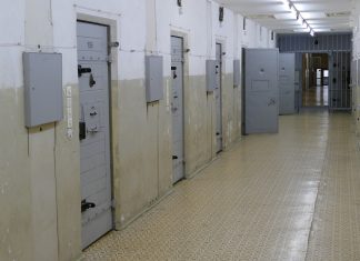 debt jailed for hiding property from trustees