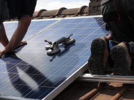 renewable energy company daylight energy