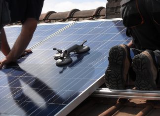 renewable energy company daylight energy