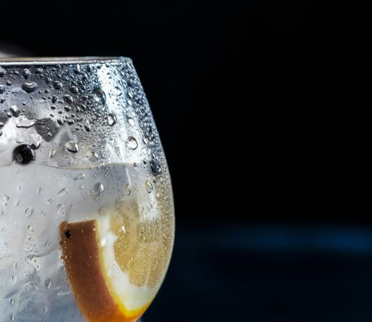 Gin Company featured on Dragons den collapses