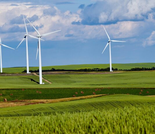 green energy firm enters administration